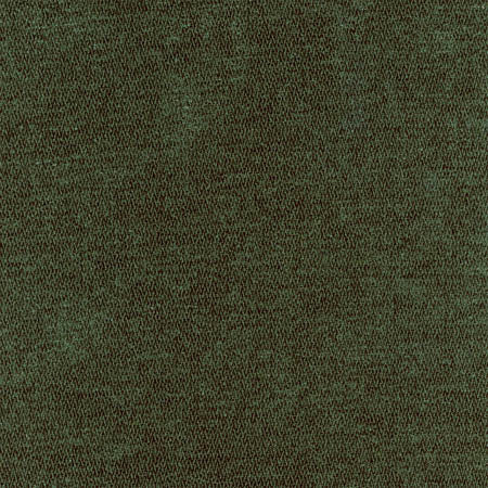 Bright Future Forest Green by Carole Designer Fabric First Class 100% Polyester CHINA None 54" - Swanky Fabrics -