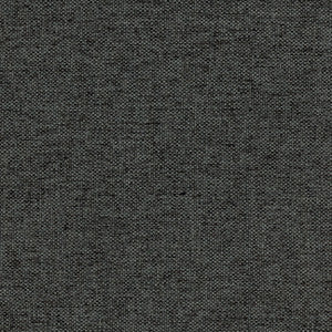 Carole Fabric Make Clear Steel