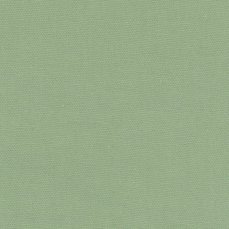 Daydreamer Seafoam by Carole Designer Fabric Daydreaming 100% Cotton- Soil Release USA Passes 30,000 Double Rubs Wyzenbeek </p><p>Repeat: None 54" - Swanky Fabrics -
