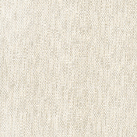 Rock Wall Raffia by Carole Designer Fabric Opal 83% Polyester, 12% Cotton, 5% Rayon India N/A Horizontal: None and Vertical: None 55" - Swanky Fabrics -