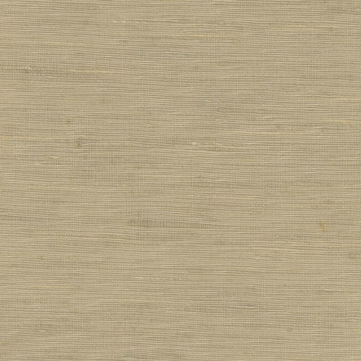 Lydia Mineral by Carole Designer Fabric Lydia Ii 100% Polyester India N/A Horizontal: 0 and Vertical: 0 54 - Swanky Fabrics -