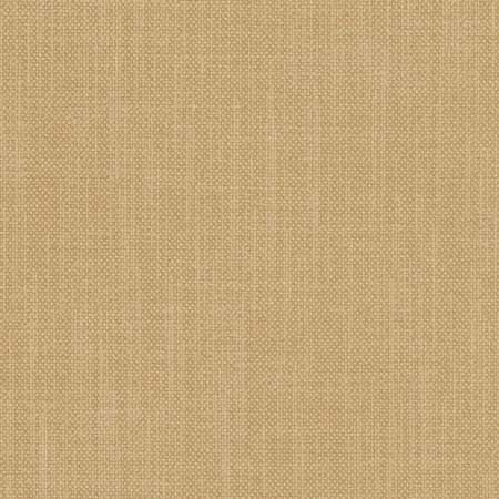 Liberty Cashew by Carole Designer Fabric Liberty,Liberty II 100% Polyester India Passes 50,000 Double Rubs Wyzenbeek None 54" - Swanky Fabrics -
