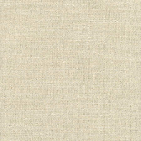 Say Yes Glint by Carole Designer Fabric WINNER'S CIRCLE 78% Polyester, 22% Viscose India N/A </p><p>Repeat: None 55" - Swanky Fabrics -