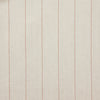 Carole Fabric Bluesy Stripe Chili