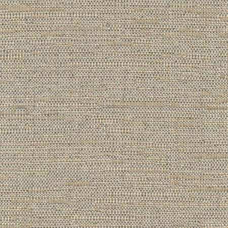Cliff Top Bronze by Carole Designer Fabric Excursion 66% Polyester, 34% Cotton India 36,000 Wyzenbeek Double Rubs </p><p>Repeat: None 56" - Swanky Fabrics -