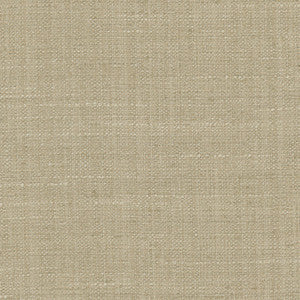 Carole Fabric The Reason Is Biscuit