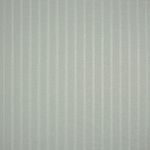 Carole Fabric Answer Is Yes Light Blue