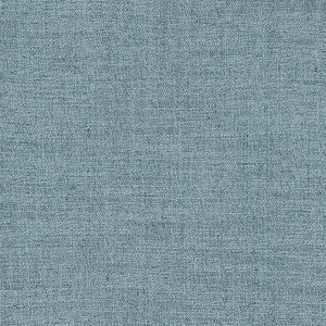 Carole Fabric Resourceful Denim