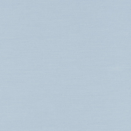 Comfort French by Carole Designer Fabric Daydreaming 100% Cotton India Passes 21,000 Double Rubs Wyzenbeek Horizontal: None and Vertical: None 54" - Swanky Fabrics -