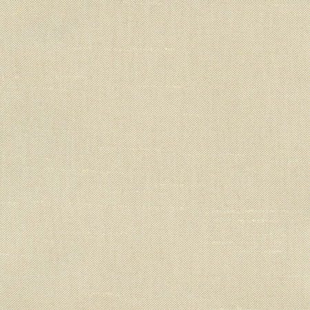 Fleeting Plantain by Carole Designer Fabric Royale 100% Polyester India Passes 50,000 Double Rubs Wyzenbeek Horizontal: None and Vertical: None 54" - Swanky Fabrics -