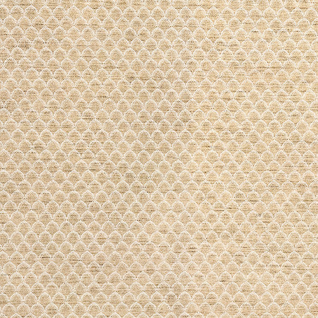 Tip The Scales Earth by Carole Designer Fabric Form & Texture 53% Cotton, 47% Polyester 35,000 Martindale Circular Rubs 1" V, 3/4" H 54" - Swanky Fabrics -
