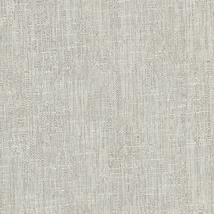 Hard Knocks Seagull by Carole Designer Fabric Pewter 69% Polyester, 31% Cotton India Passes 30,000 Double Rubs Wyzenbeek Horizontal: 0 and Vertical: 0 555 - Swanky Fabrics -