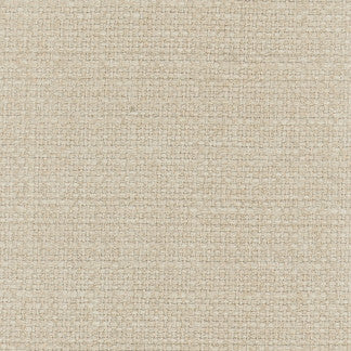 More Texture Champagne by Carole Designer Fabric Sandblasted 95% Polyester, 5% Nylon China None 55" - Swanky Fabrics -