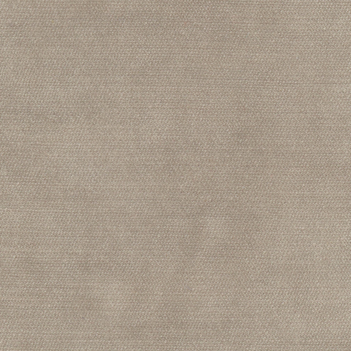Cool Touch Fossil by Carole Designer Fabric Touch Of Luxury 100% Polyester Turkey 50,000 Wyzenbeek Double Rubs Horizontal: 0 and Vertical: 0 54 - Swanky Fabrics -