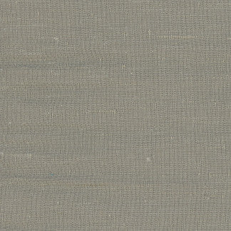 Lydia Cement by Carole Designer Fabric Lydia,Lydia II 100% Polyester Fr India N/A Horizontal: 0" and Vertical: 0" 54" - Swanky Fabrics -