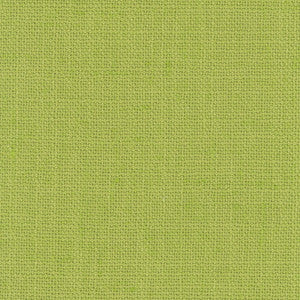 Carole Fabric Defense Aloe