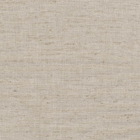 Training Day Stone by Carole Designer Fabric Dove Wing 92% Polyester, 8% Cotton INDIA None 54" - Swanky Fabrics -