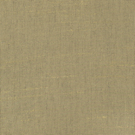 Fleeting Cashew by Carole Designer Fabric Royale 100% Polyester India Passes 50,000 Double Rubs Wyzenbeek Horizontal: None and Vertical: None 54" - Swanky Fabrics -