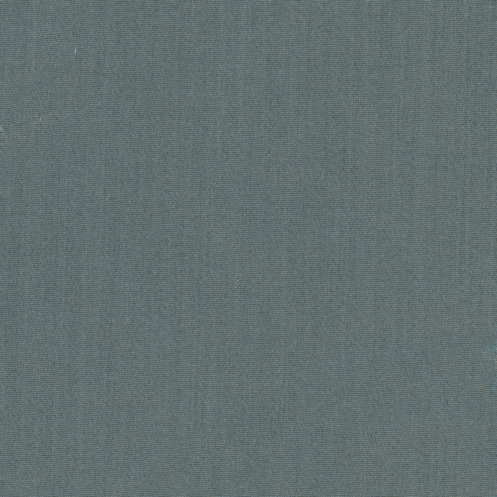 Tempt Graphite by Carole Designer Fabric Royale 100% IFR Polyester India Passes 45,000 Double Rubs Wyzenbeek Horizontal: 0 and Vertical: 0 54 - Swanky Fabrics -