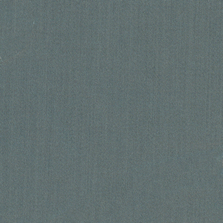 Tempt Graphite by Carole Designer Fabric Royale 100% IFR Polyester India Passes 45,000 Double Rubs Wyzenbeek Horizontal: 0 and Vertical: 0 54 - Swanky Fabrics -