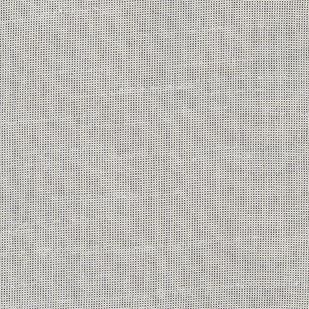 Fleeting Flint by Carole Designer Fabric Royale 100% Polyester India Passes 50,000 Double Rubs Wyzenbeek Horizontal: None and Vertical: None 54" - Swanky Fabrics -