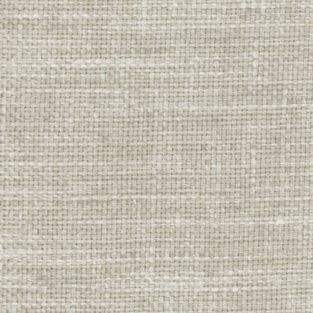 Lazarus Feather by Carole Designer Fabric Prominence 54% Cotton, 46% Polyester India N/A None 54" - Swanky Fabrics -