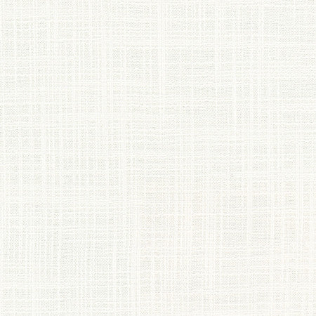 Lets Be Real Natural by Carole Designer Fabric See It Through 100% Recycled Polyester India None 54" - Swanky Fabrics -