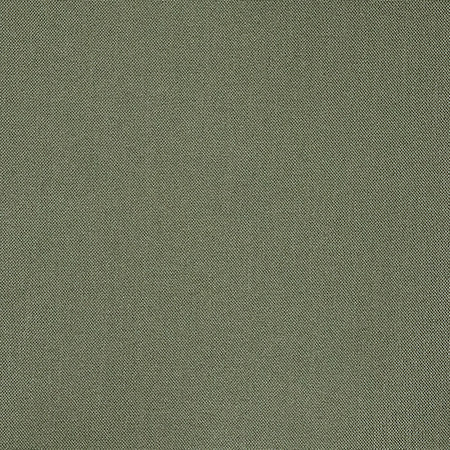 Reform Sage by Carole Designer Fabric Reclamation 100% Recycled Polyester 50,000 Wyzenbeek Double Rubs None 54" - Swanky Fabrics -