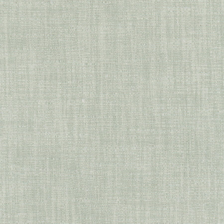 Athlete Ivy by Carole Designer Fabric Celadon 60% Cotton, 40% Polyester India Passes 50,000 Double Rubs Wyzenbeek None 55" - Swanky Fabrics -