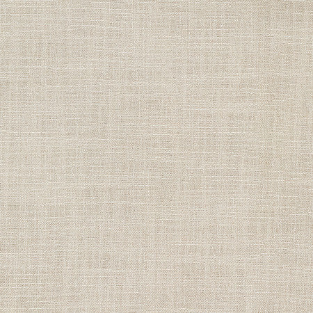 Resourceful Natural by Carole Designer Fabric Reclamation 77% Recycled Polyester, 23% Polyester 12,000 Martindale Circular Rubs None 55" - Swanky Fabrics -
