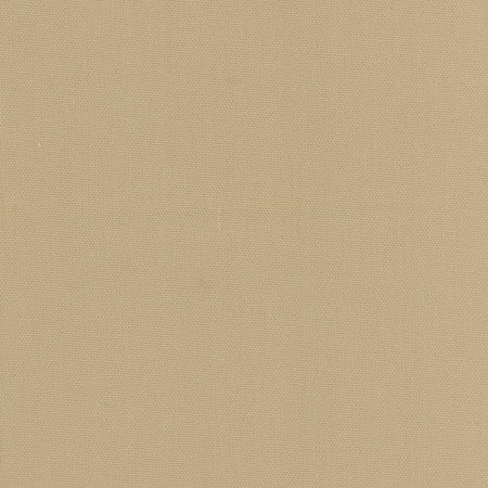 Daydreamer Khaki by Carole Designer Fabric Daydreamer III,Daydreaming 100% Cotton- Soil Release USA None 54" - Swanky Fabrics -