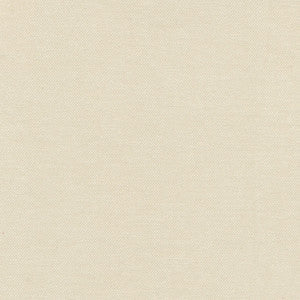 Carole Fabric Warm Up Stone