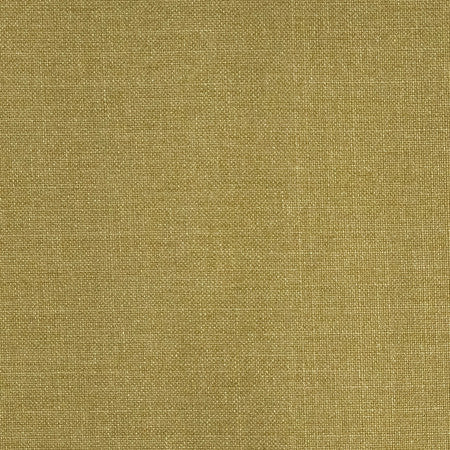 Communication Olive by Carole Designer Fabric Power Play 100% Polyester N/A None 58" - Swanky Fabrics -