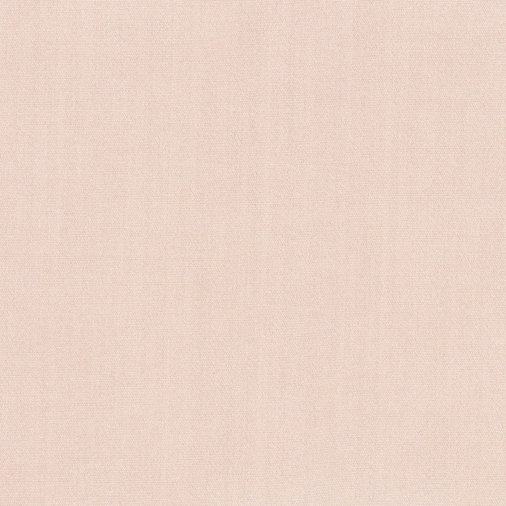 Tempt Blossom by Carole Designer Fabric Royale 100% IFR Polyester India Passes 45,000 Double Rubs Wyzenbeek Horizontal: 0 and Vertical: 0 54 - Swanky Fabrics -