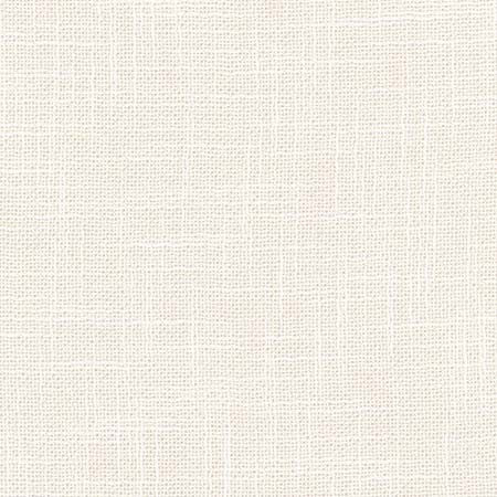 As Always Coconut by Carole Designer Fabric See It Through 100% Polyester Turkey N/A None 55.5" - Swanky Fabrics -