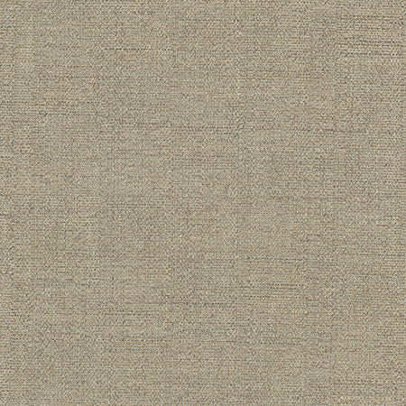 Cortland Taupe by Carole Designer Fabric Gala 100% Polyester India None 54.75" - Swanky Fabrics -