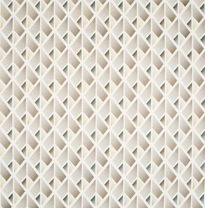 Problem Solved Natural by Carole Designer Fabric Birch 70% Cotton, 30% Polyester India N/A Horizontal: 55 and Vertical: 625 515 - Swanky Fabrics -