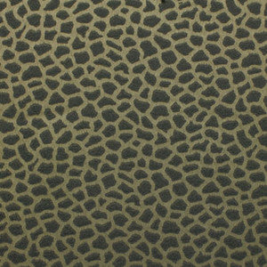 Carole Fabric Terlato Viridian Grey