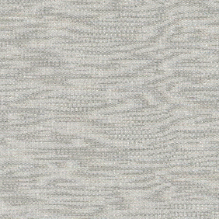 Athlete Sterling by Carole Designer Fabric Pewter 60% Cotton, 40% Polyester India Passes 50,000 Double Rubs Wyzenbeek Horizontal: 0 and Vertical: 0 55 - Swanky Fabrics -