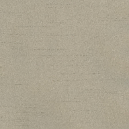 Bane Smoke by Carole Designer Fabric With Grace 100% Polyester Hybrid FR Mexico 30,000 WYZENBEEK DOUBLE RUBS None 54" - Swanky Fabrics -