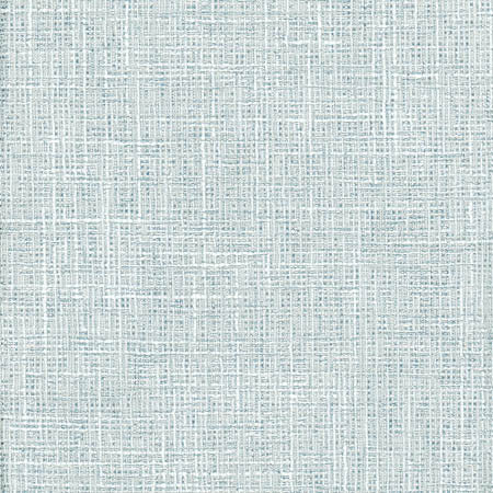 Adjuster Vapor by Carole Designer Fabric Laguna 62% Polyester, 32% Cotton, 6% Viscose INDIA None 54" - Swanky Fabrics -
