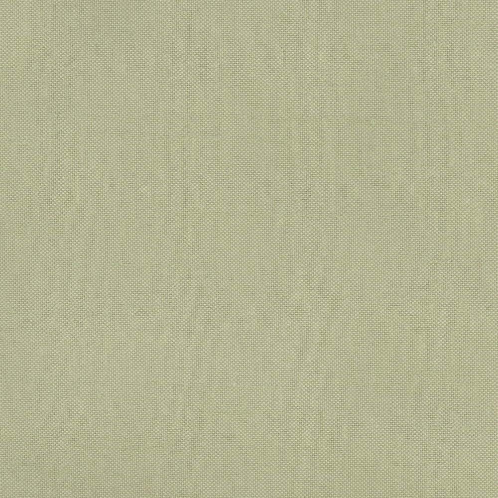 Fleeting Basil by Carole Designer Fabric Royale 100% Polyester India Passes 50,000 Double Rubs Wyzenbeek Horizontal: 0 and Vertical: 0 54 - Swanky Fabrics -