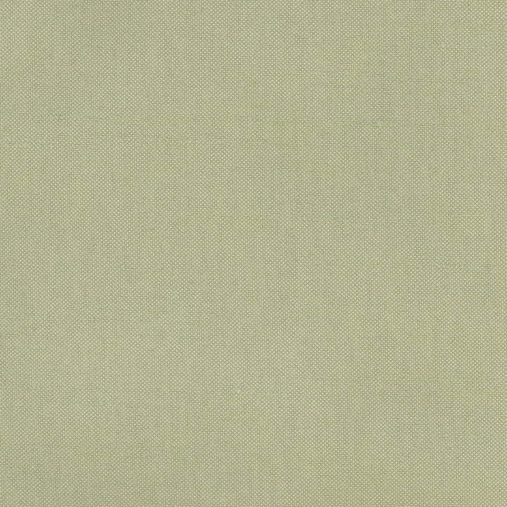 Fleeting Basil by Carole Designer Fabric Royale 100% Polyester India Passes 50,000 Double Rubs Wyzenbeek Horizontal: 0 and Vertical: 0 54 - Swanky Fabrics -