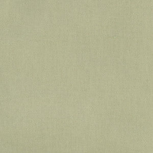 Carole Fabric Fleeting Basil
