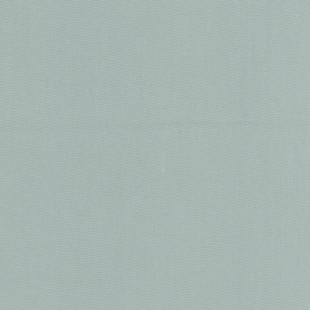 Daydreamer Mist by Carole Designer Fabric Daydreaming 100% Cotton- Soil Release USA Passes 30,000 Double Rubs Wyzenbeek Horizontal: 0 and Vertical: 0 54 - Swanky Fabrics -
