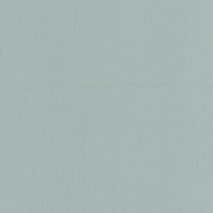 Daydreamer Mist by Carole Designer Fabric Daydreaming 100% Cotton- Soil Release USA Passes 30,000 Double Rubs Wyzenbeek Horizontal: 0 and Vertical: 0 54 - Swanky Fabrics -