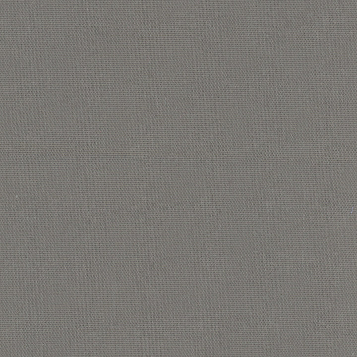 Daydreamer Ash Grey by Carole Designer Fabric Daydreaming 100% Cotton- Soil Release USA Passes 30,000 Double Rubs Wyzenbeek Horizontal: 0 and Vertical: 0 54 - Swanky Fabrics -