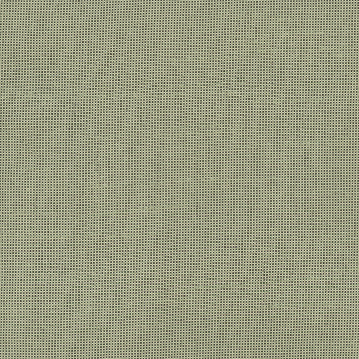 Fleeting Olive by Carole Designer Fabric Royale 100% Polyester India Passes 50,000 Double Rubs Wyzenbeek Horizontal: 0 and Vertical: 0 54 - Swanky Fabrics -