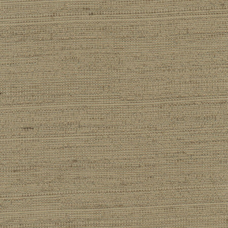 Aiden Walnut by Carole Designer Fabric Chestnut 100% Polyester India N/A </p><p>Repeat: None 54" - Swanky Fabrics -