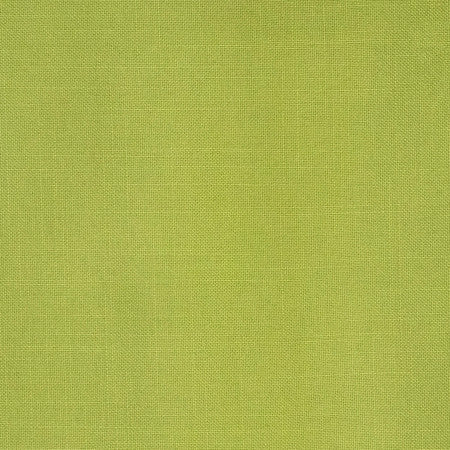 Business Casual Leaf by Carole Designer Fabric Power Play 100% Polyester 100,000 Wyzenbeek Double Rubs None 54" - Swanky Fabrics -